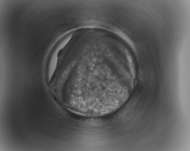 X0000088691368200706281954