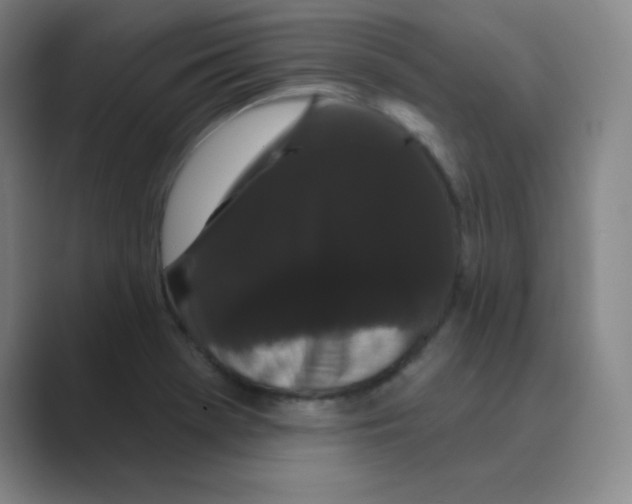 X0000088691369200706281954
