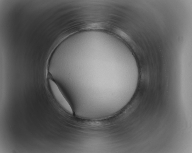 X0000088691370200706281954