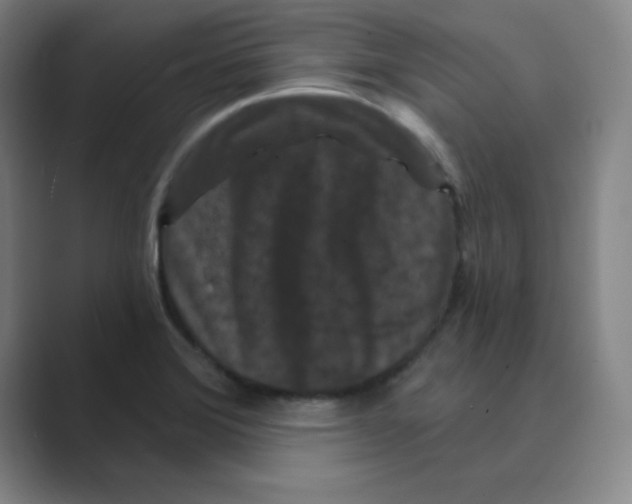 X0000088691372200706281954