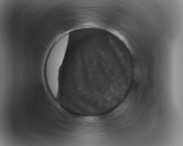X0000088691373200706281954