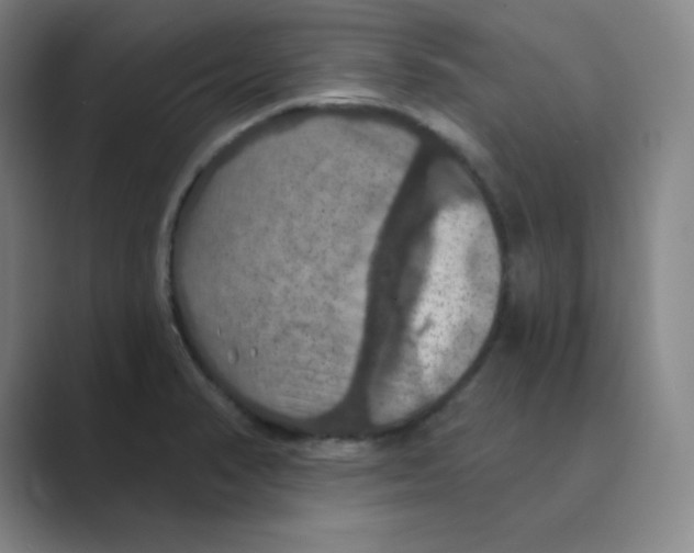 X0000088691374200706281954