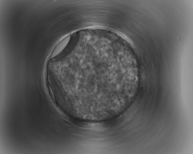 X0000088691375200706281954