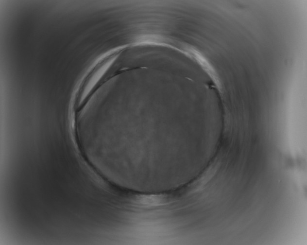 X0000088691376200706281954
