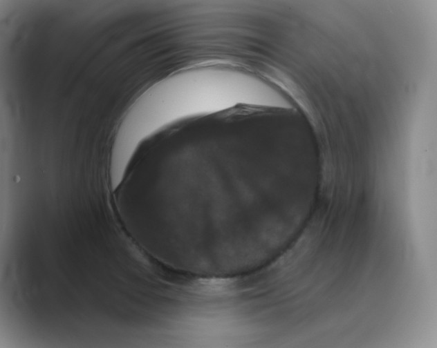 X0000088691377200706281954