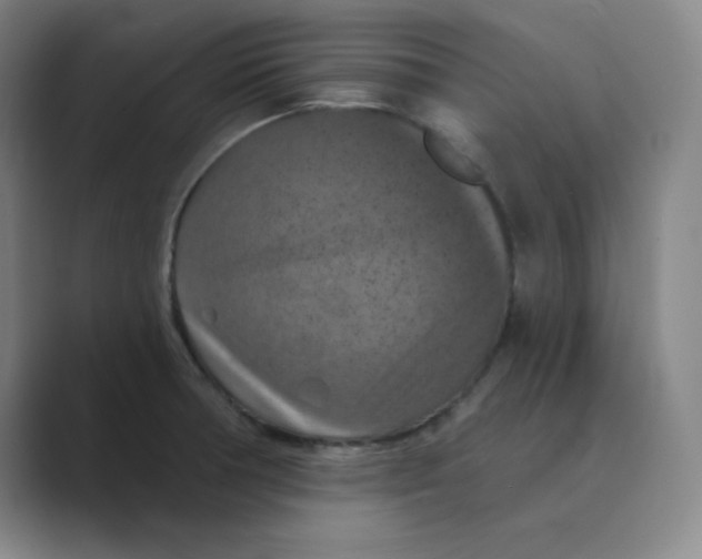 X0000088691378200706281954