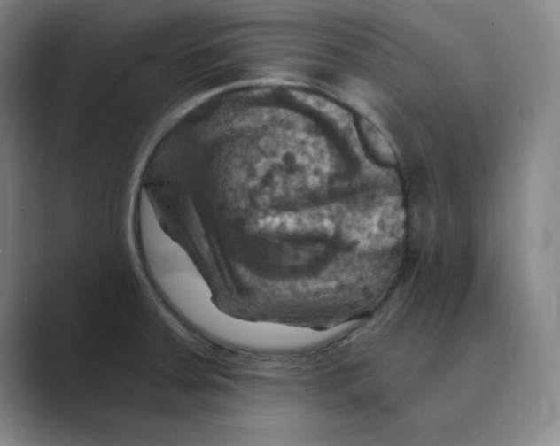 X0000088691379200706281954