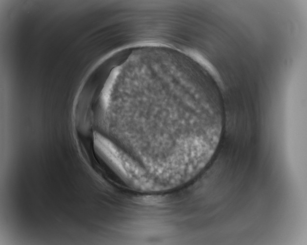 X0000088691380200706281954