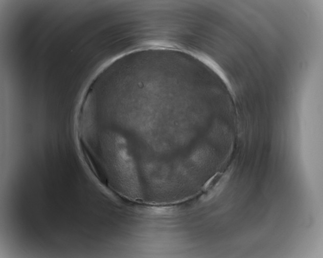 X0000088691381200706281954