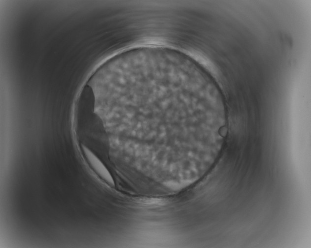 X0000088691382200706281954