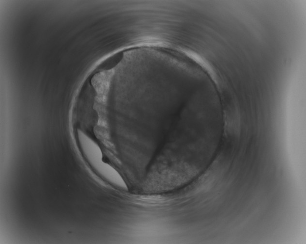 X0000088691383200706281954