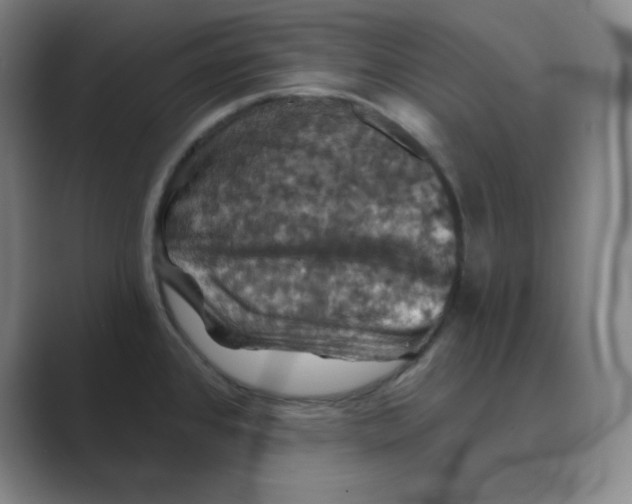 X0000088691384200706281954