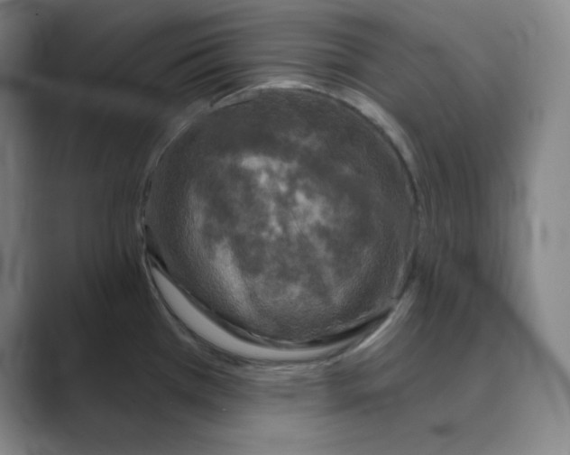 X0000088691385200706281954