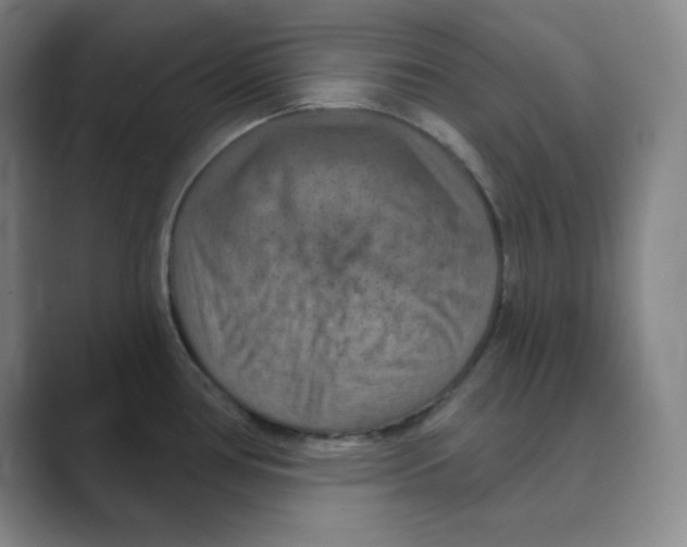 X0000088691386200706281953