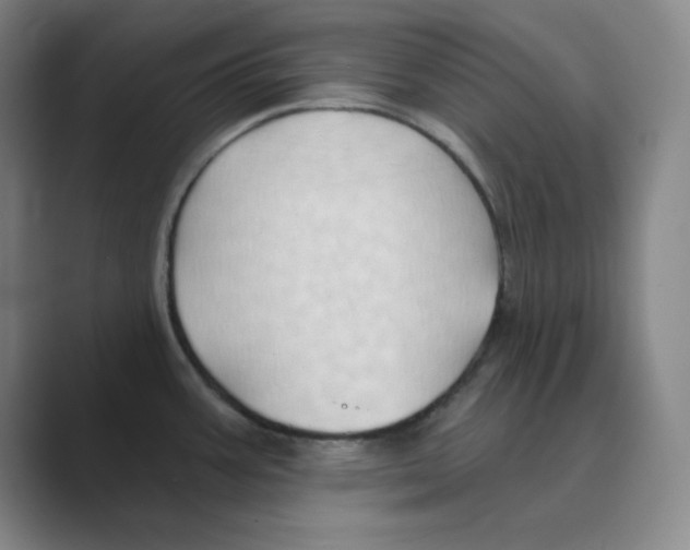 X0000088691387200706281953