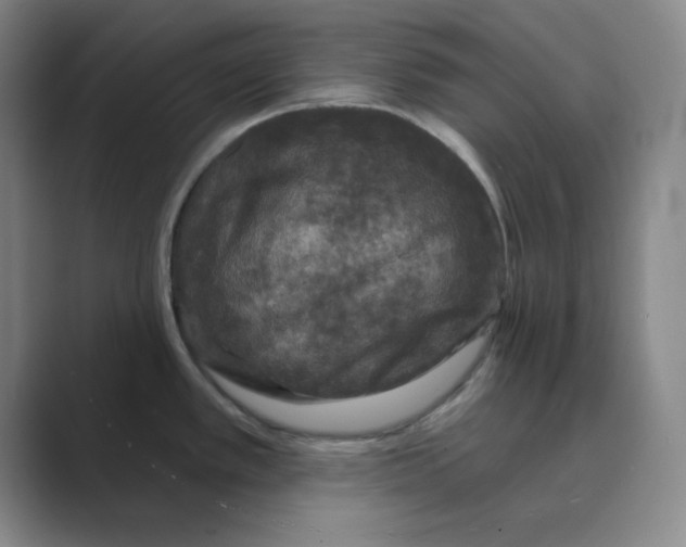X0000088691389200706281953