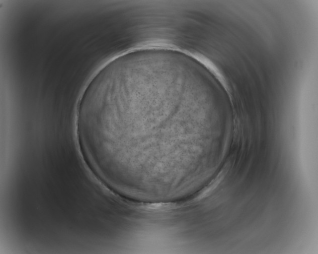 X0000088691390200706281953