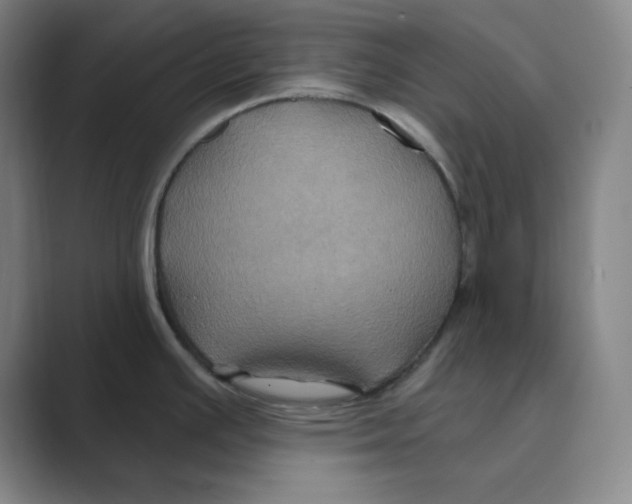 X0000088691391200706281953