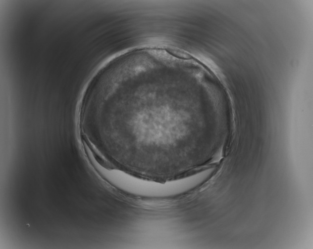 X0000088691392200706281953