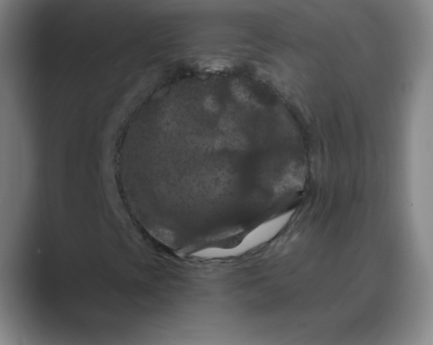 X0000088691393200706281953