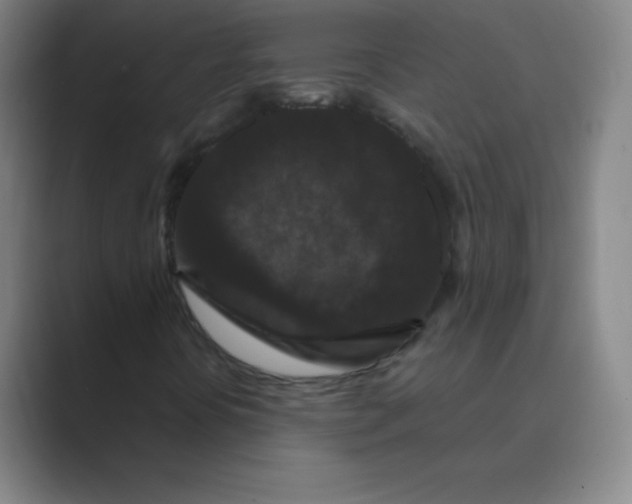 X0000088691394200706281953