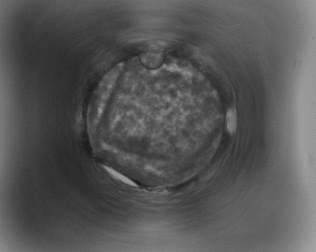 X0000088691395200706281953