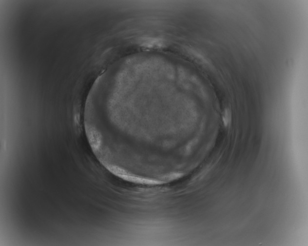 X0000088691396200706281953