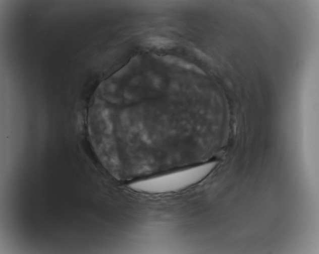X0000088691397200706281953