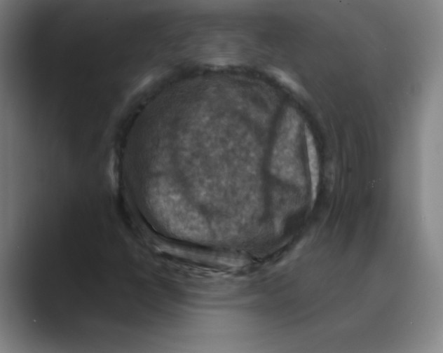 X0000088691398200706281953