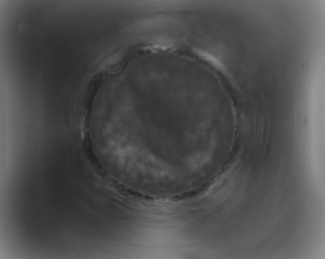 X0000088691399200706281953