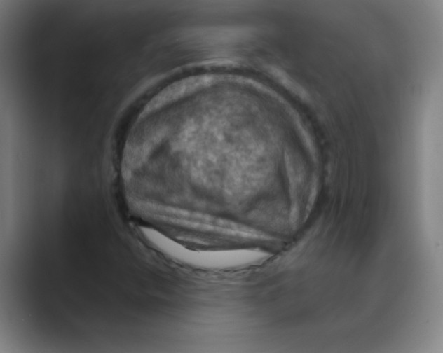 X0000088691400200706281953