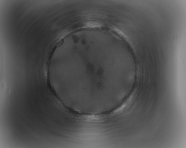 X0000088691401200706281953
