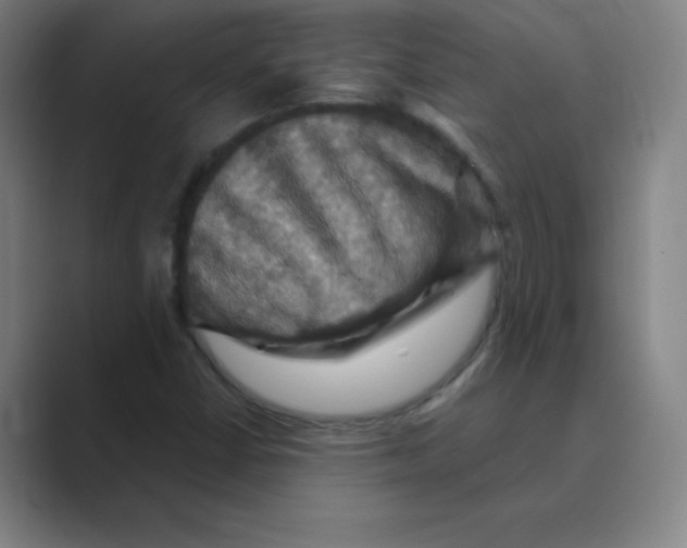 X0000088691402200706281953