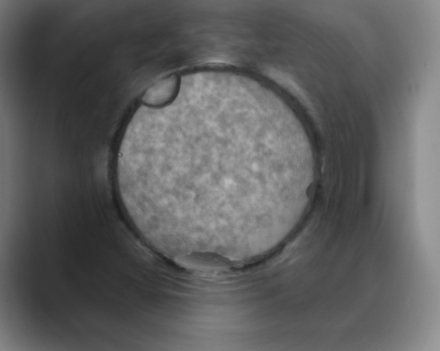 X0000088691404200706281953