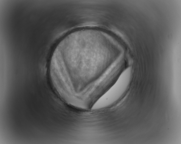 X0000088691406200706281953