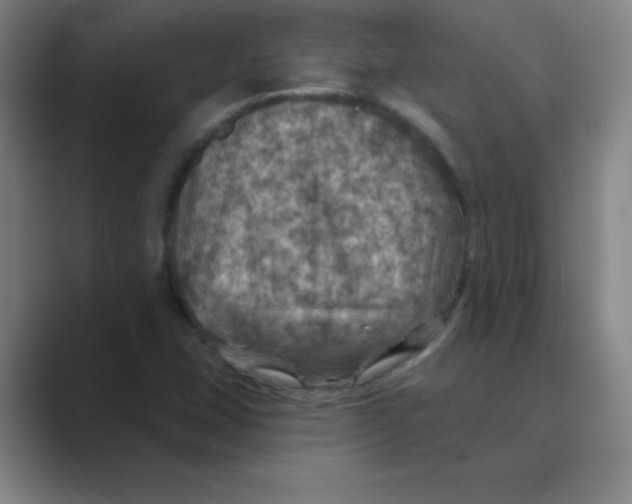 X0000088691407200706281953