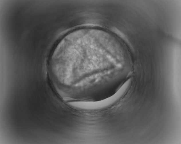X0000088691408200706281953