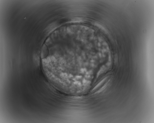 X0000088691409200706281953