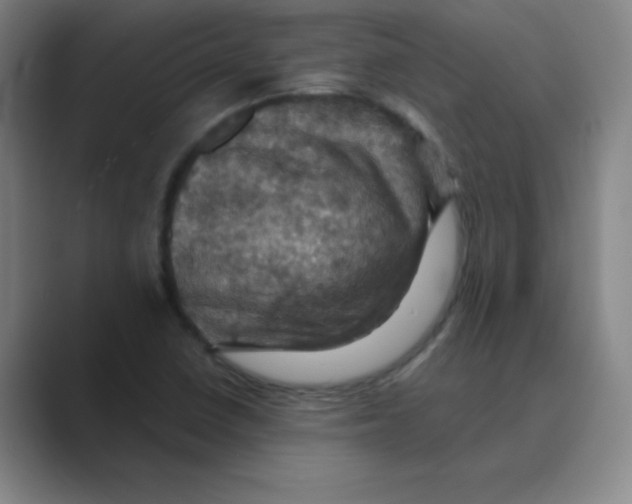 X0000088691410200706281953