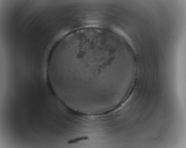 X0000088691411200706281953