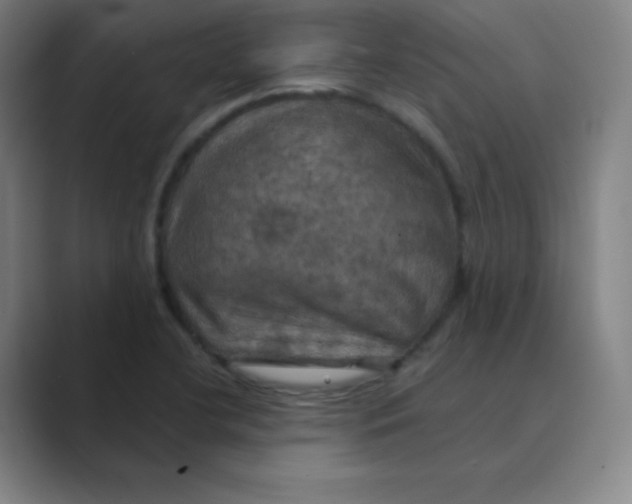X0000088691412200706281953