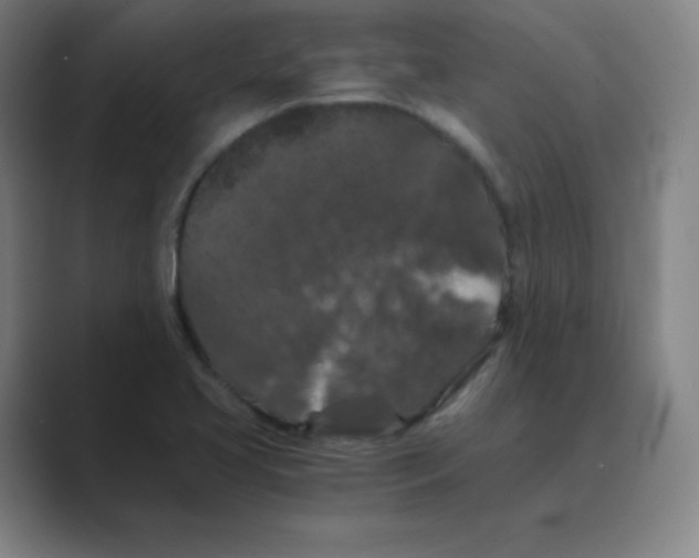 X0000088691413200706281953