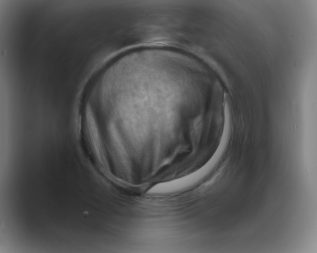 X0000088691414200706281953