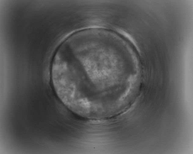 X0000088691415200706281953
