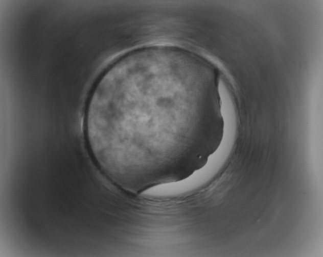 X0000088691416200706281953