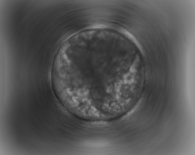 X0000088691417200706281953