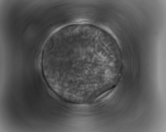 X0000088691421200706281953