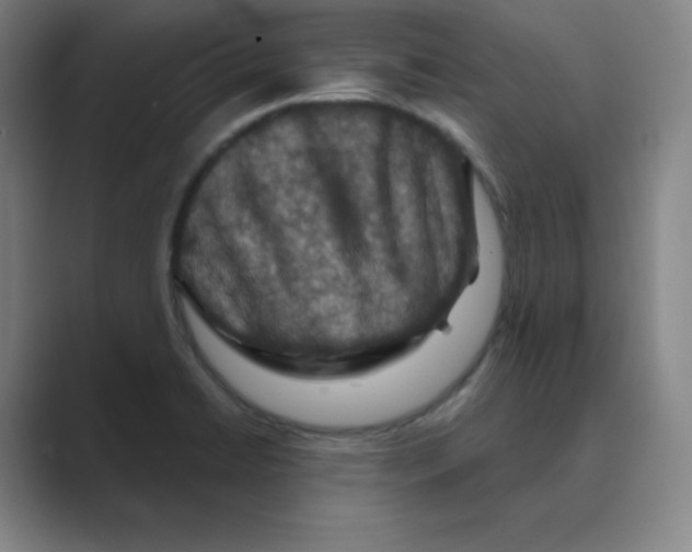 X0000088691422200706281953