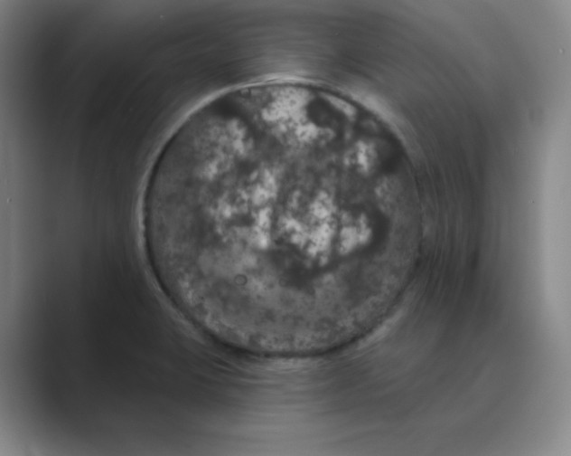 X0000088691423200706281953