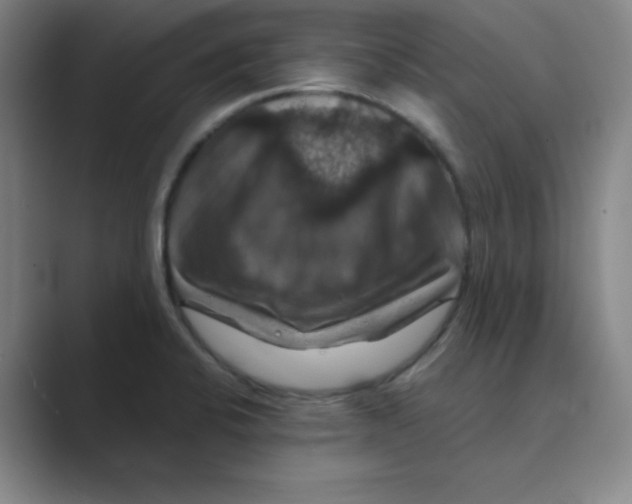 X0000088691424200706281953